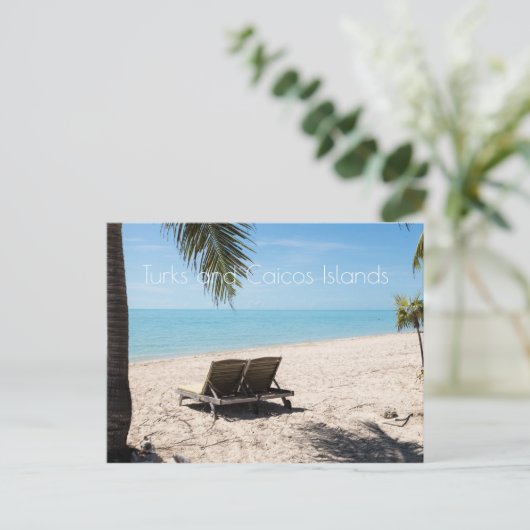 Carte Postale Îles Turques et Caïques (Debout devant)