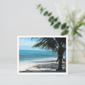 Carte Postale Îles Turques et Caïques (Debout devant)