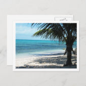 Carte Postale Îles Turques et Caïques (Devant / Derrière)