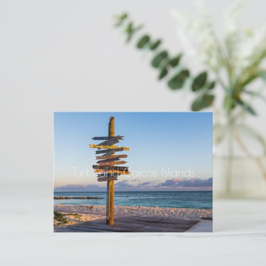 Carte Postale Îles Turques et Caïques (Debout devant)