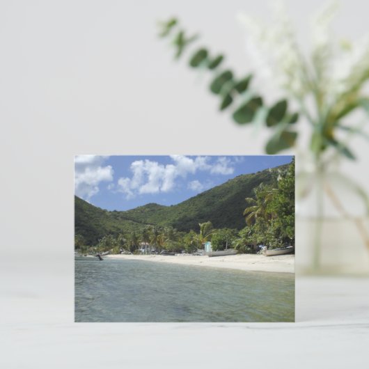 Carte Postale Îles Vierges britanniques - Jost (Debout devant)