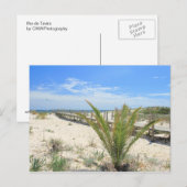 Carte Postale Ilha de Tavira (Devant / Derrière)