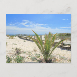 Carte Postale Ilha de Tavira
