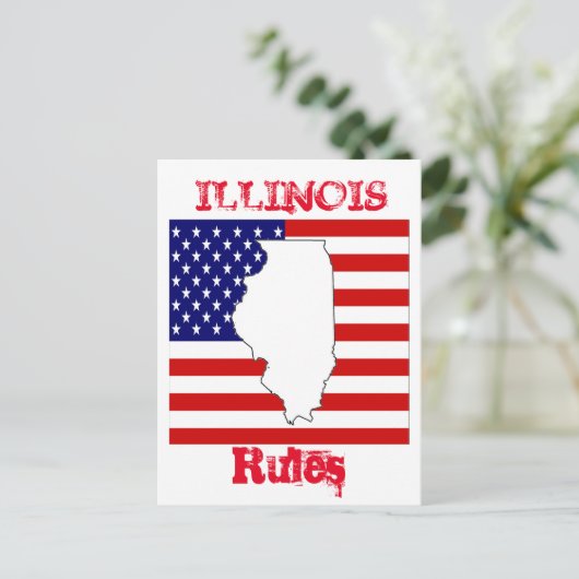 CARTE POSTALE ILLINOIS (Debout devant)