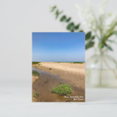 Carte postale Illinois Beach State Park (Debout devant)