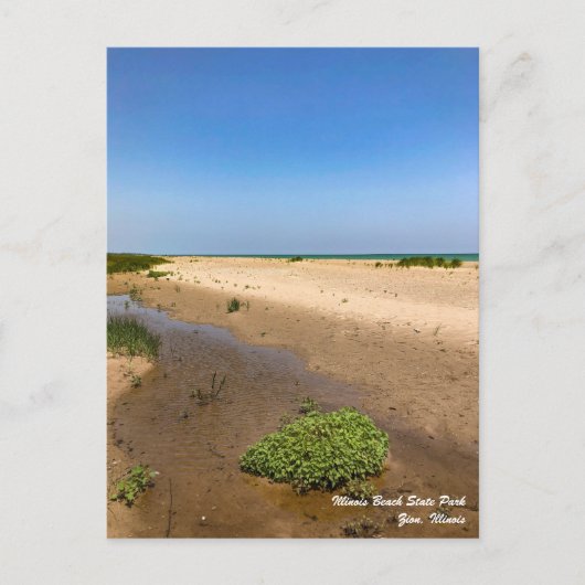 Carte postale Illinois Beach State Park (Devant)