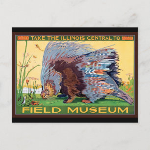 Carte Postale Illinois Central to Field Museum Porcupine