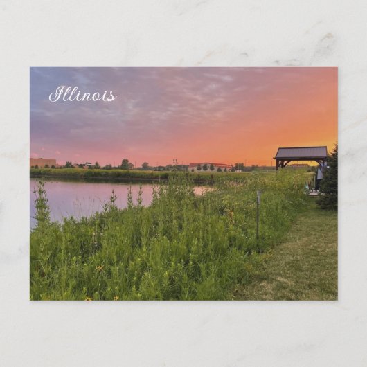 Carte postale Illinois Field (Devant)