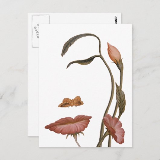 Carte Postale Illusion de la fleur faciale (Devant / Derrière)