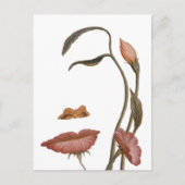 Carte Postale Illusion de la fleur faciale (Devant)