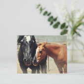 Carte Postale Illusion et précipitation (Debout devant)