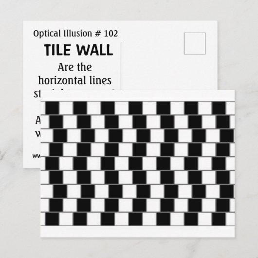 CARTE POSTALE ILLUSION OPTIQUE #102 TILE WALL (Devant / Derrière)