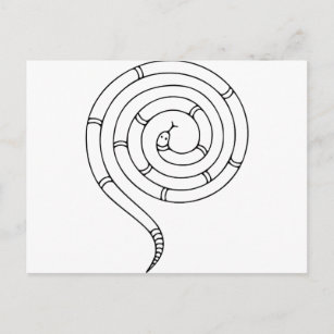 Carte Postale Illusion optique de serpent impossible