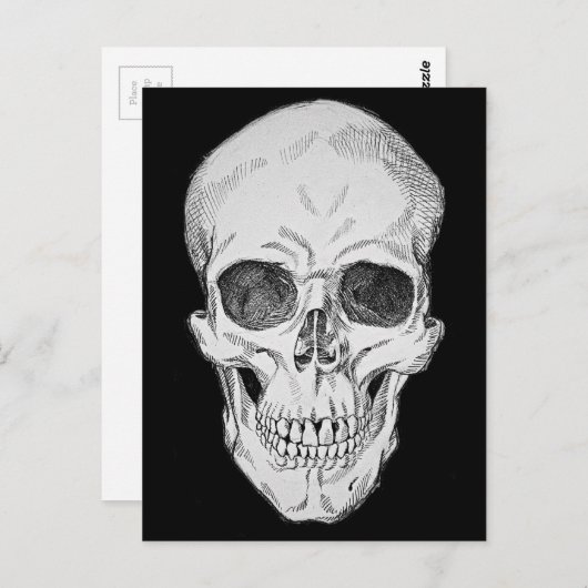 Carte Postale Illustration anatomique du crâne humain (vue front (Devant / Derrière)