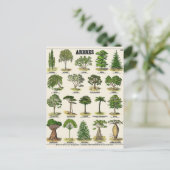 Carte Postale Illustration arbres (Debout devant)