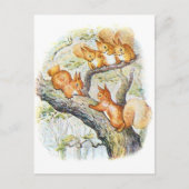 Carte Postale Illustration Beatrix Potter Nutkin + Écureuils (Devant)