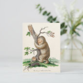 Carte Postale Illustration Bizarre Vintage Sloth (Debout devant)