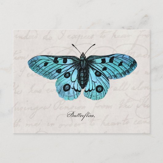 Carte Postale Illustration bleue turquoise vintage de papillon - (Devant)