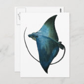 Carte Postale Illustration Blue Stingray (Devant / Derrière)