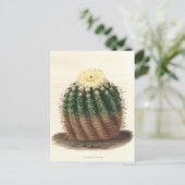 Carte Postale Illustration botanique de Cactus de 1841 (Debout devant)