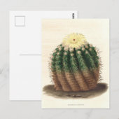 Carte Postale Illustration botanique de Cactus de 1841 (Devant / Derrière)