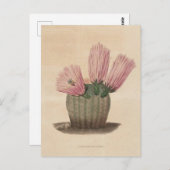 Carte Postale Illustration botanique de Cactus de 1841 (Devant / Derrière)