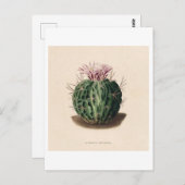 Carte Postale Illustration botanique de Cactus de 1841 (Devant / Derrière)