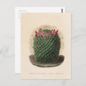 Carte Postale Illustration botanique de Cactus de 1841 (Devant / Derrière)
