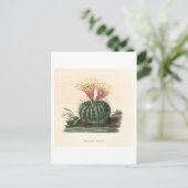 Carte Postale Illustration botanique de Cactus de 1841 (Debout devant)