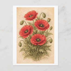 Carte Postale Illustration botanique de coquelicots de style vin