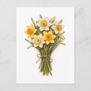 Carte Postale Illustration botanique de jonquilles de style vint