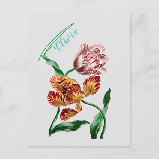 Carte Postale Illustration botanique de la tulipe vintage (Devant)