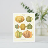 Carte Postale Illustration botanique de Melons à partir du catal (Debout devant)