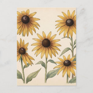 Carte Postale Illustration botanique de Rudbeckia jaune vintage