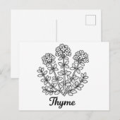 Carte Postale Illustration botanique de thym noir et blanc (Devant / Derrière)