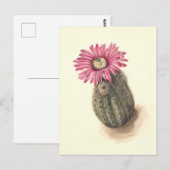 Carte Postale Illustration botanique de Turkeyhead Cactus (Devant / Derrière)