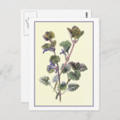 Carte Postale Illustration botanique "Ground Ivy" (Devant / Derrière)