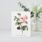 Carte Postale Illustration botanique rose et papillon (Debout devant)