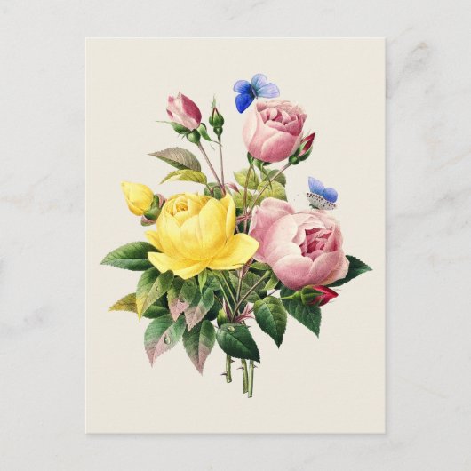 Carte Postale Illustration botanique Rose vintage (Devant)