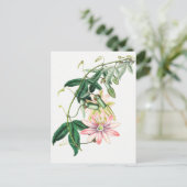 Carte Postale Illustration botanique vintage (Debout devant)