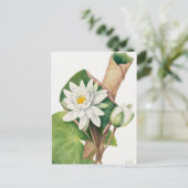 Carte Postale Illustration botanique vintage (Debout devant)