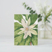 Carte Postale Illustration botanique vintage (Debout devant)