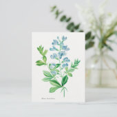 Carte Postale Illustration botanique vintage (Debout devant)