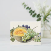 Carte Postale Illustration botanique vintage (Debout devant)