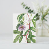 Carte Postale Illustration botanique vintage (Debout devant)