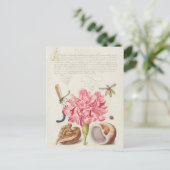 Carte Postale Illustration botanique vintage (Debout devant)