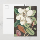 Carte Postale Illustration botanique vintage (Devant / Derrière)