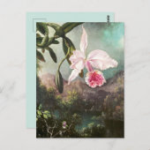 Carte Postale Illustration botanique vintage (Devant / Derrière)