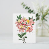 Carte Postale Illustration botanique vintage (Debout devant)