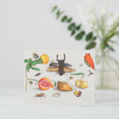 Carte Postale Illustration botanique vintage (Debout devant)